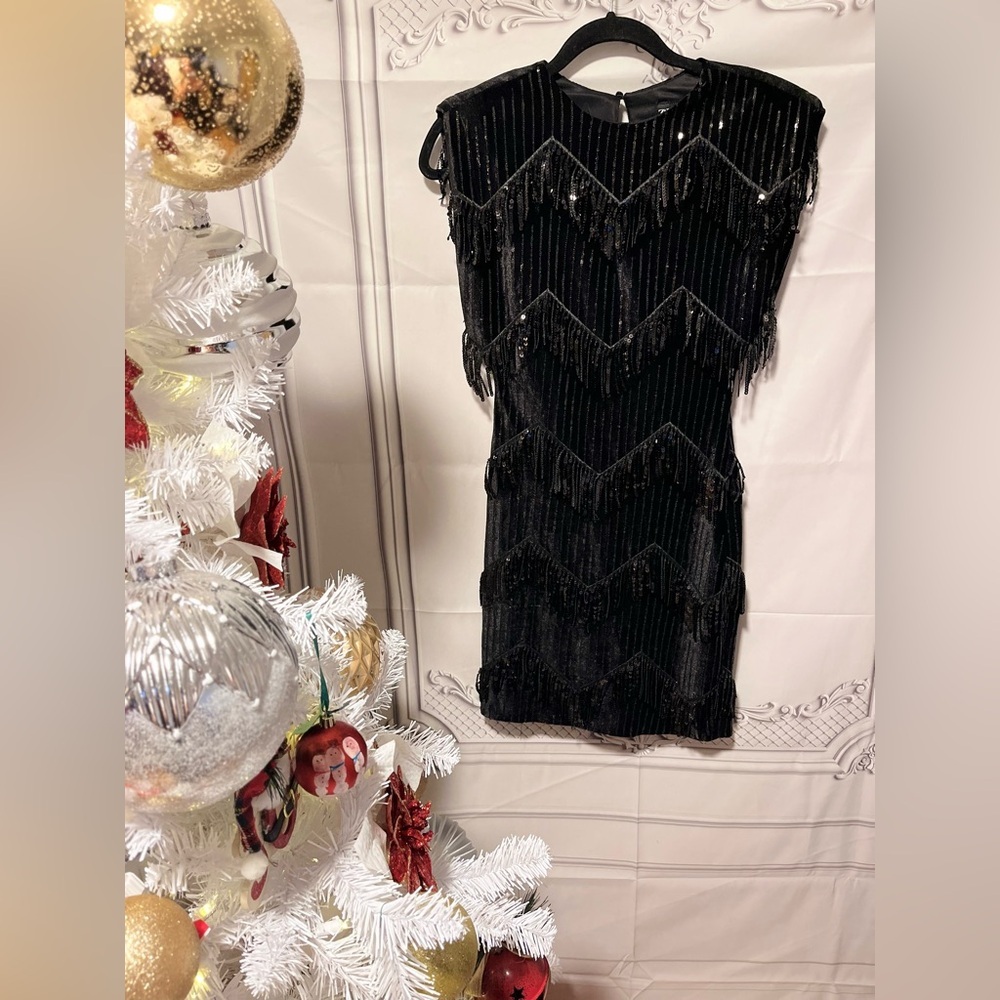 NWT ZARA  FRINGED Sequin Dress size XS AND S
🚨FIRM PRICE NO DISCOUNT - Picture 8 of 15